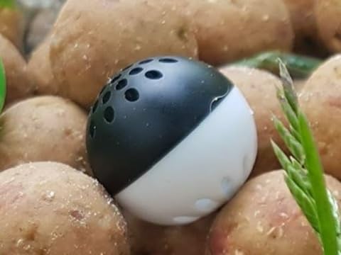 Karpela Bait Matrix Shell (Set of 4) – Protective Shell for Soft Bait & Liver – Turtle & Crawfish Resistant – Carp & Catfish Rig - color: White, size: Small Hole