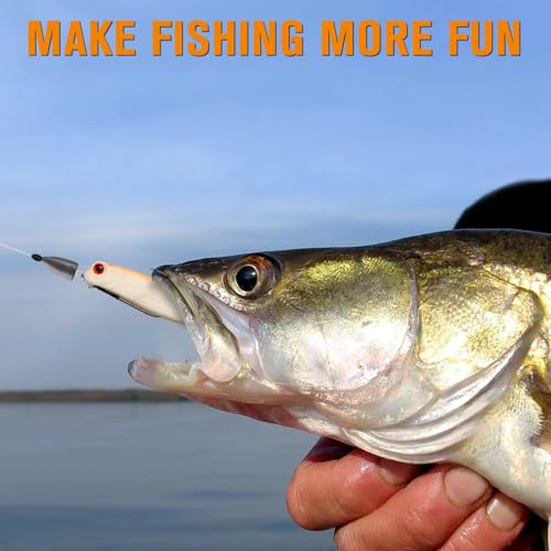 Dovesun Weedless Worm Hooks Wacky Rig Hooks Texas Rig Hooks 30PCS Professional V Bass Fishing Hooks for Freshwater Saltwater 1/0 2/0 3/0 - size: 1/0 * 30PCS, style: Professional "V" Hook With Baitkeeper