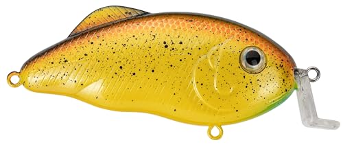 Strike King Hybrid Hunter Jr Crankbait Fishing Lure, 1/2 oz, Reflective 3D Eyes - color: Bully, size: 1/2 oz (Pack of 1)