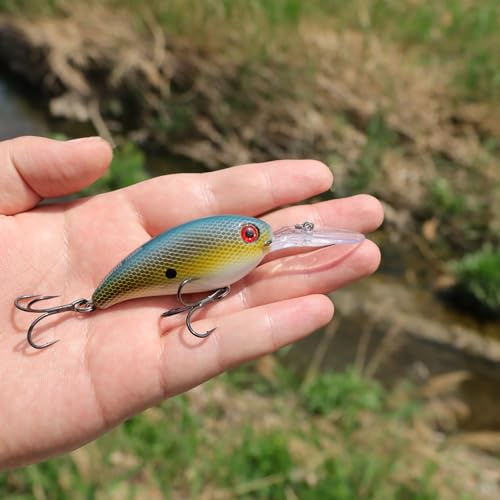 EXAURAFELIS Diving Crankbait Lures Fishing Gear Fishing Lure for Saltwater Freshwater swimbaitsfor Bass Trout Crappie Walleye Pike Bluegill Salmon Fishing Gifts for Fisherman