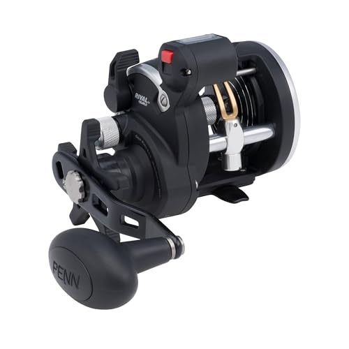 PENN Rival Level Wind Conventional Fishing Reel - size: 15 - Line Counter, style: Old Model