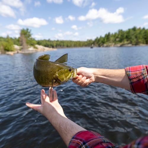 Rio Products Bass Leader, Freshwater Tapered Leader for Fly Fishing, Designed for Bass Fly Fishers - size: 10LB