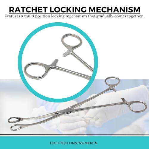 Foerster Sponge Forceps Straight + Curved Serrated Loop Jaws Holding Instruments Body Piercing Locking Clamps, Stainless Steel (9.5" - Curved) - style: 9.5" - Curved