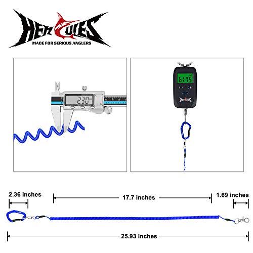HERCULES M4 Fishing Lanyard, Fishing Pole Tether, Kayak Paddle Leash, Heavy Duty Retractable Coiled Lanyard for Fishing, Rods, Pliers, Boating, Paddles, Kayak - color: Pack of 2 Blue, 17.7"