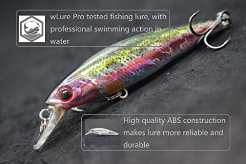 Minnow Crankbait for Bass Fishing Bass Lure Jerkbait Fishing Lures and Tackle Box - color: HM762KB