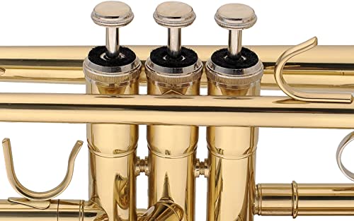 Trumpet Valve Sytem Replacement Parts include Trumpets Finger Buttons Valve Cap Spring Felt Washer Piston Guides Musical Instruments Accessories Set of 18pcs Silver