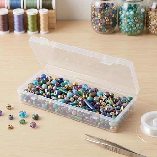 LJY 10 Pieces Rectangular Empty Mini Clear Plastic Organizer Storage Box Containers with Hinged Lids (6.1 x 2.6 x 1.2 inch, Transparent) - color: Transparent, size: 6.1 x 2.6 x 1.2 inch