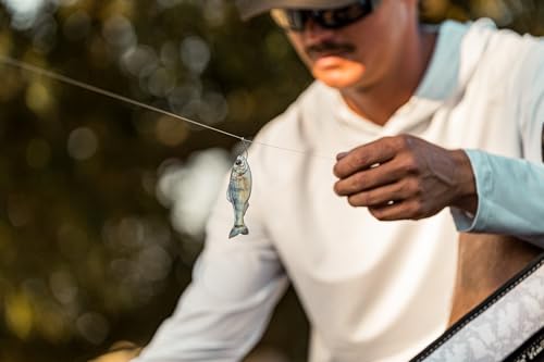 6th Sense - Panorama Sampler Pack - Multi-Size Soft Swimbait Bundle for Bass, Crappie, and Multi-Species Fishing