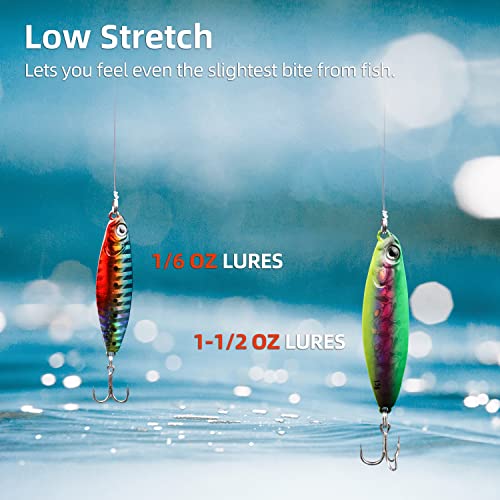 RUNCL Fluorocarbon Fishing Line, PowerFluoro Clear Ice Fishing Leader Line - Virtually Invisible, Faster Sinking, Extra Sensitivity, 300/500/1000yds, 5-32lb Break Strength, Fishing Gifts - size: 12 lb - 300 yds