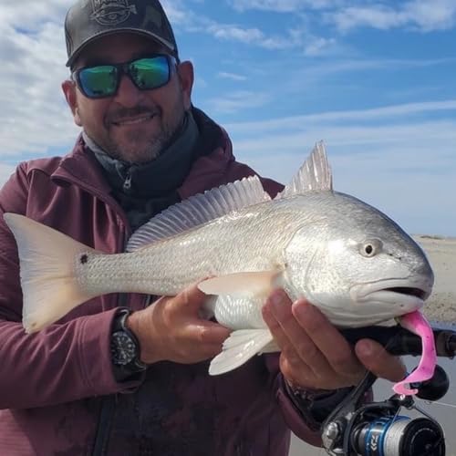 A.M. Fishing Curly Tail Jerkshad 4 Inch Soft Baits Garlic Infused,– 8 Pack – Saltwater & Freshwater Fishing Lures for Bass, Redfish, Snook, and Trout - color: Pink Punch
