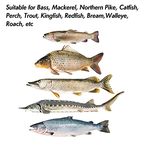 Dr.Fish Fishing Jigs Jigging Spoon Saltwater Fishing Lure Casting Metal Spoon Surf Fishing Mackerel Striper Lures Stinger Bluefish Vertical Diamond Jig - color: Silver, size: 1/2oz-3 Pieces