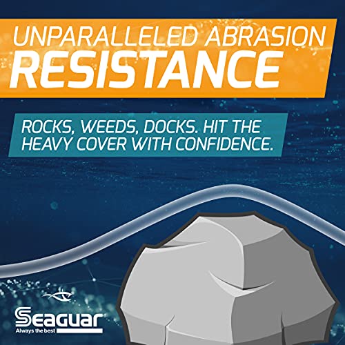 Seaguar AbrazX Freshwater Abrasion Resistant Fluorocarbon Fishing Line for Docks, Rocks, Weeds, & Logs - Multiple Sizes - style: 15lbs/200yds