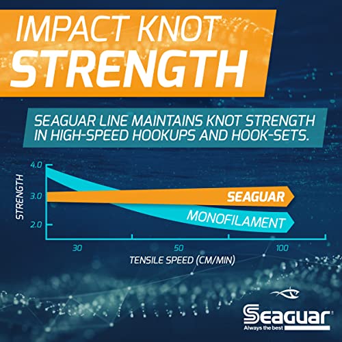 Seaguar Blue Label Fishing Leader Line for Saltwater, 100% Fluorocarbon, Clear, Multiple Sizes - size: 12lbs/25yds