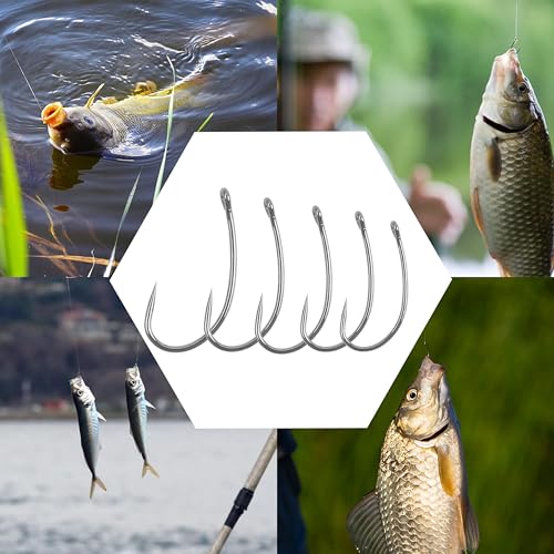 Shaddock Fishing Barbless Carp Fishing Hooks, Circle Curve Shank Crank Fly Tying Hooks High Carbon Steel for Hair Bait Rigs Freshwater Saltwater - size: 8#, style: 60pcs