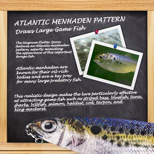 Magnum Flutter Spoon Deep Sea Jigging Fishing Lures, 7.5-9 Inch Large Hard Metal Sinking Trolling Casting Striper Fishing Spoon Baits for Striped Bass, Salmon, Walleye, Saltwater, Freshwater - color: C2 - 9" Classic - Menhaden