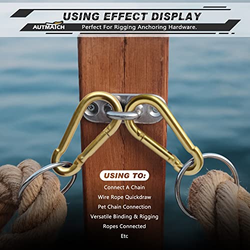 AUTMATCH Carabiner Clips, 3" Spring Snap Hook Caribeener Clips Buckle Pack Grade Heavy Duty Carabiners Quick Link for Camping, Fishing, Hiking, Traveling, 4 Pack - style: Carbon Steel - Gold