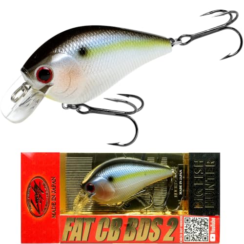 LUCKY CRAFT Fat CB BDS2 Fishing Lure, 2.5" Floating Squarebill Crankbait, 2–3 ft Depth, Freshwater Trout and Bass Lures, Bass Fishing Gear and Tournament Hard Bait - color: 183 Pearl Threadfin Shad