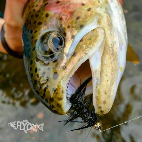 The Fly Crate Woolly Bugger Flies for Trout Fly Fishing Assortment - Streamer Fly Fishing Flies
