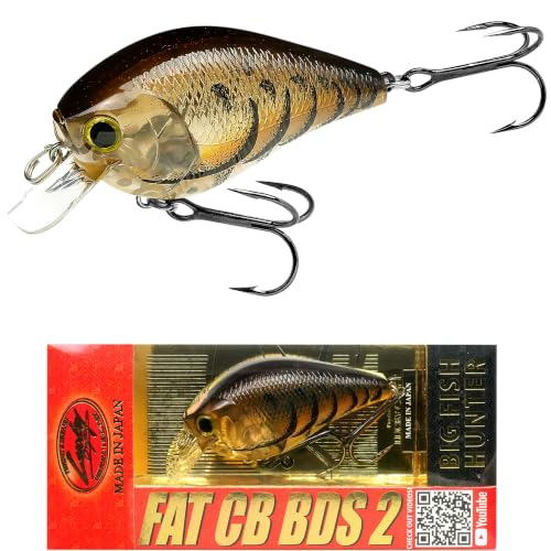 LUCKY CRAFT Fat CB BDS2 Fishing Lure, 2.5" Floating Squarebill Crankbait, 2–3 ft Depth, Freshwater Trout and Bass Lures, Bass Fishing Gear and Tournament Hard Bait - color: 182 Magic Craw
