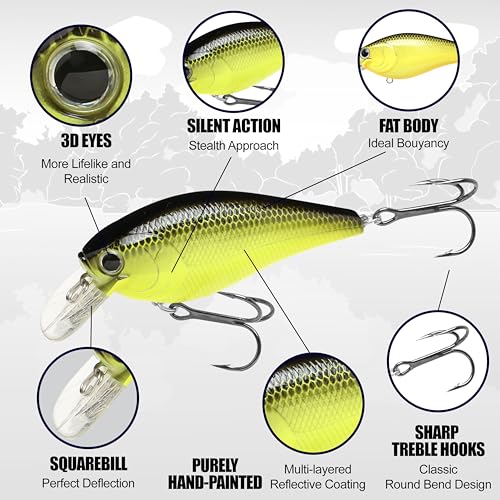 LUCKY CRAFT Fat CB BDS 3, Freshwater Bass Fishing Lure, Crank Bait, Smallmouth, Walleye, Floating, Fishing Gear, Fishing Accessories, Fishing Tackle - color: 146 TOCR