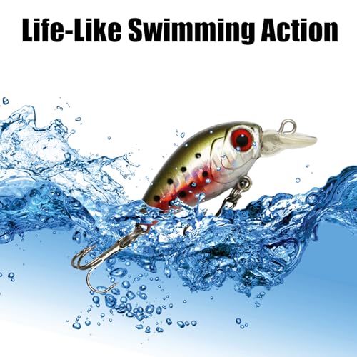 Top Water Fishing Lures Kit, 6 PCS Micro Fishing Lure Crankbaits Baits with 2 Hooks 3D Eyes Bait for Saltwater Freshwater Bass Trout Catfish Pike Perch - color: B