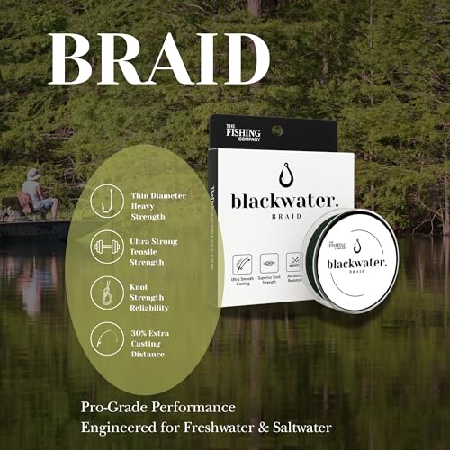 Blackwater Braid 8X Braided Fishing Line – Smooth, Strong UHMWPE Fiber – Abrasion Resistant, Zero Stretch – for Saltwater & Freshwater - color: Dark Green, size: 8LB (300 Yards)
