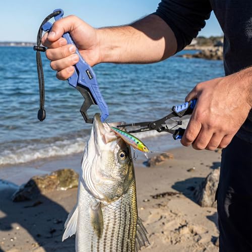 Fishing Tools Kit-Stainless Steel Fishing Pliers, Fish Lip Gripper, Multi-Functional Jaw Anti-Corrosion, Fishmen Must Have Fishing Gear - color: Blue