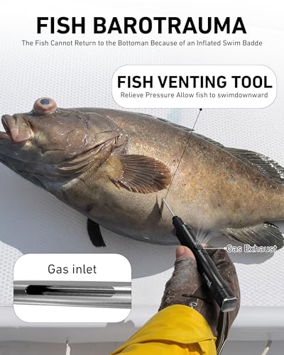 GOLDEN J Fish Venting Tool for Saltwater Fishing | Modular Design with Hidden Storage & Stainless Steel/Aluminum Build, Relieves Deep Sea Fish Pressure for Healthier Release - size: L+M