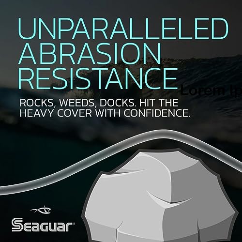 Seaguar Blue Label Fishing Leader Line for Saltwater, 100% Fluorocarbon, Clear, Multiple Sizes - size: 6lbs/25yds