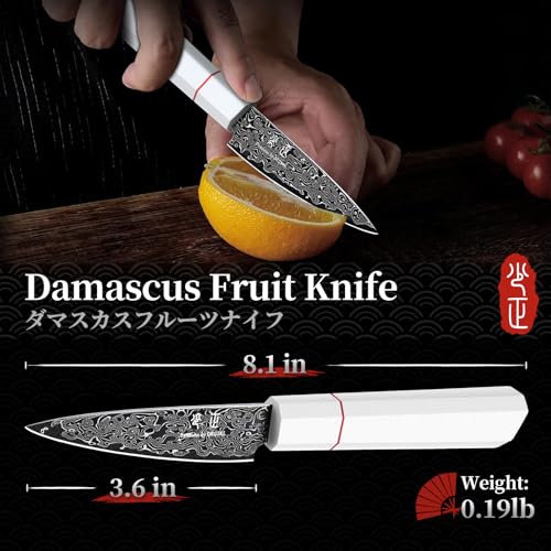 DRGSKL Damascus Fruit Knife 3.5 inch - VG10 Paring Knife for Precision Cutting - Small Kitchen Knives with Japanese G10 Handle - In Gift Box - size: 3.6 inch