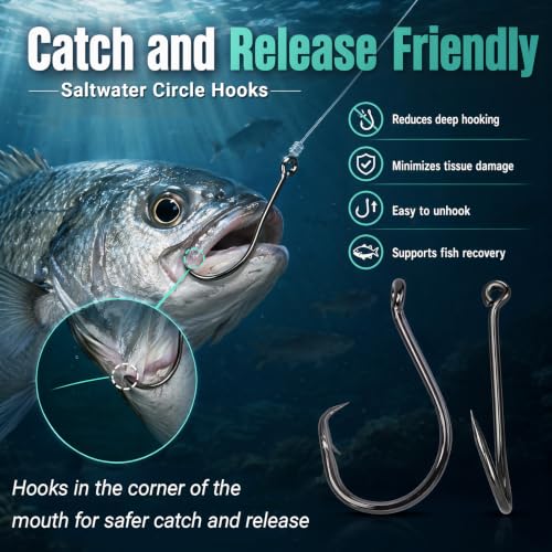 AMYSPORTS Bass Saltwater Offset Circle Hooks Wide Gap | Live Bait Fishing Hooks Catfish Freshwater Carbon Steel Fishing Hook Sharp Barbed - size: Size 6/0 50pcs