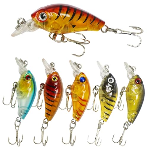 Top Water Fishing Lures Kit, 6 PCS Micro Fishing Lure Crankbaits Baits with 2 Hooks 3D Eyes Bait for Saltwater Freshwater Bass Trout Catfish Pike Perch - color: A