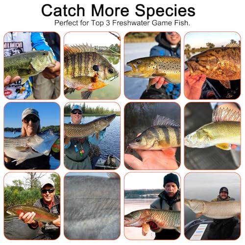 Fishing Tackle kit, 308pcs Fishing Accessories Kit, Fishing Hooks, Split Shot Fishing Weights, Swivels, Beads, Lures –Fishing Gear Set for Bass Trout Catfish, Ideal Fishing Gifts for Men