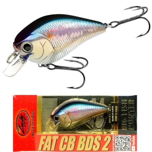 LUCKY CRAFT Fat CB BDS2 Fishing Lure, 2.5" Floating Squarebill Crankbait, 2–3 ft Depth, Freshwater Trout and Bass Lures, Bass Fishing Gear and Tournament Hard Bait - color: 270 MS American Shad