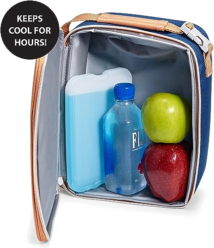 Cool Coolers by Fit & Fresh 4 Pack XL Slim Ice Packs, Quick Freeze Space Saving Reusable Ice Packs for Lunch Boxes or Coolers - color: Multi (4 Pack)