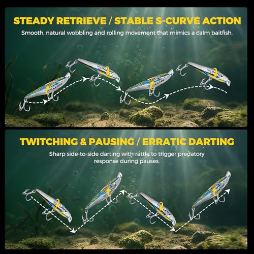 Fishing Lures Minnow Fishing Jerkbait Hard Bait, Noisy Wiggling and Vibrating Actions for More Bites, Deep Diving Swimbait Hard JerkBaits for Bass Pike Trout Walleye Freshwater Saltwater - color: Cyprinella Lutrensis