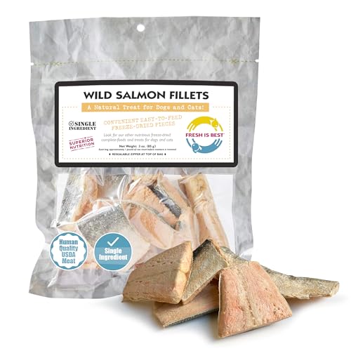 Fresh Is Best Salmon Fillets Freeze Dried Dog Treats – Raw Freeze Dried Fish for Cats & Canines in Resealable Zipper Bag – High-Protein Salmon Dog Treats – Made in the USA