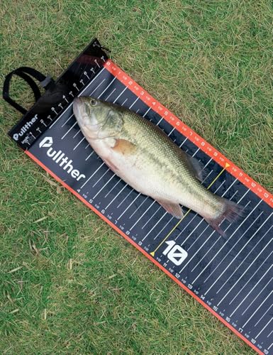 Fishing Tool Kit,53in Fish Ruler,Fishing Gear - color: Fish Ruler and Fish Scale