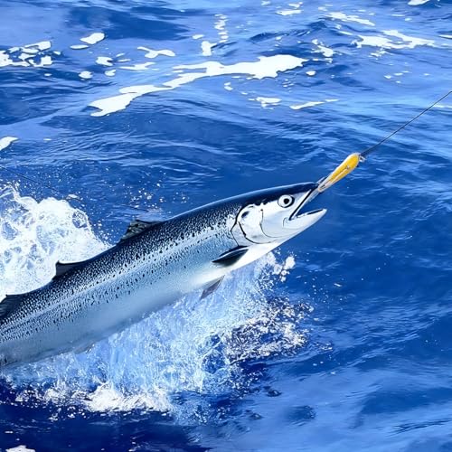 Soulchen 6 Pack Trolling Spoons, 3 Inch Saltwater Fishing Lures Stainless Steel Reflective Spoon Lure with Welded O-Ring, Offshore Inshore Trolling Bait for Tuna, Mahi Mahi, King Mackerel