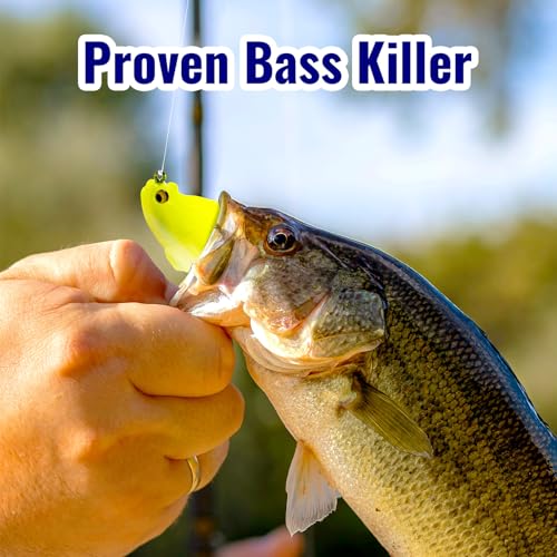 Soft Fishing Lures 5pcs Kit with Tackle Box Weedless Paddle Tail Swimbaits for Bass Trout Crappie Walleye Freshwater Saltwater Life Like Action Durable Plastic Sharp Hooks - color: 3in 5pcs