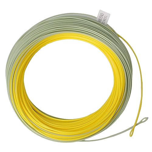 Trout Fly Fishing Line, Weight Forward Floating with 2 Welded Loops - color: Moss Green+ Gold, size: WF5F-100FT