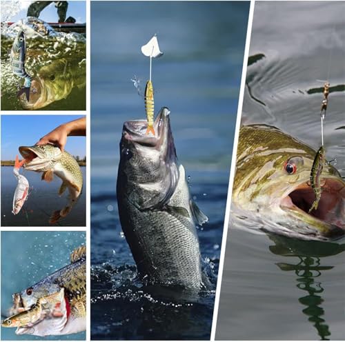 Fishing Lures for Freshwater and Saltwater, Realistic Fishing Lures with Storage Box for Bass Trout Crappie Walleye Pike Bluegill, Slow Sinking Jointed Swimbait, Extra 5pcs 6# and 5 pcs 8# Hooks