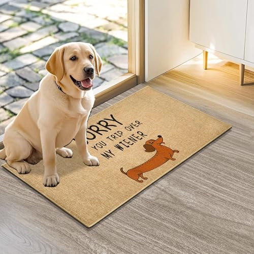 Funny Dog Doormat Outdoor Welcome Entrance Door Mat Front Back Door Entryway Floor Mat Inside Outside Non-Slip Welcome Carpet Rug Indoor Washable Doormat for Patio Hallway Home Decor - color: Brown Dog