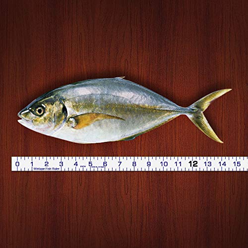 Adhesive Fish Ruler - 40 Inch Fishing Measuring Tape - Fish Measuring Tape | for Fishing Boat, Kayak, Cooler, Workbench - Waterproof Fish Measuring Sticker