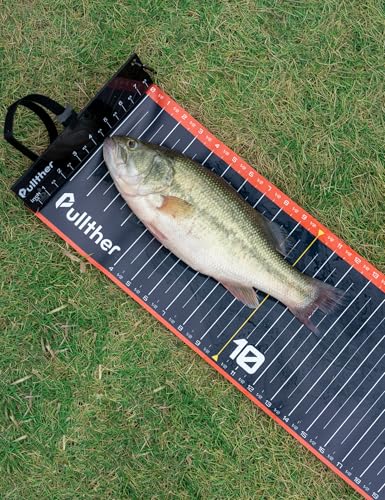Fishing Tool Kit,53in Fish Ruler,Fishing Gear - color: orange