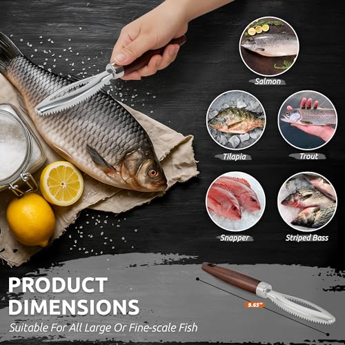 DUGATO Fish Scale Remover, Stainless Steel Scaler with Wood Handle | Serrated Descaler Scraper for Quick Fish Cleaning, Rustproof Blade, Seafood Prep for Kitchen & Outdoor