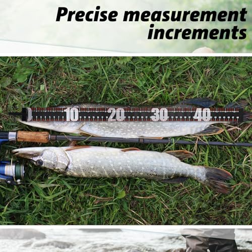 VioraWhite 2 Pcs 48 Inch Fishing Ruler Fishing Measuring Tape with Bump Board Waterproof Portable Roll up Fish Measuring Board Device Tool for Crappie Tuna Shark Swordfish - color: Black, size: 48 Inch