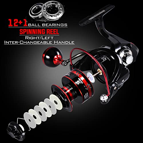 Sougayilang Fishing Pole with Spinning Reel Portable Fishing Rod Reel Combos - size: 2.4M/7.87FT Rod with 3000 Reel, style: Full Kits With Bag