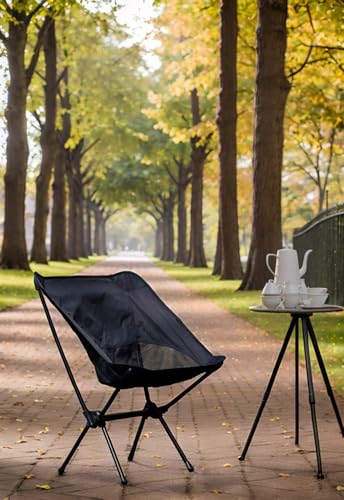 Wind Tour Portable Camping Chair Foldable Outdoor Chair for Hiking Camp Backpacking Lawn Beach Fishing Picnic with Carry Bag (Black-2) - color: Black-2