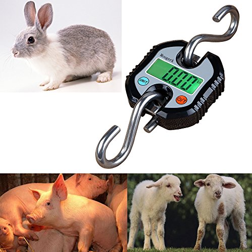 Digital Hanging Scales Portable Heavy Duty Crane Scale 150 kg 300 lb 2 AAA Batteries(Not Included) (Black) - color: Black
